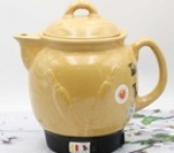 Siêu sắc thuốc điện loại nào tốt? Gợi ý top 9 sản phẩm đáng mua nhất